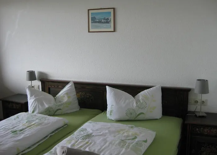 Panoramahotel Alde Hotz Gbr * Gorwihl